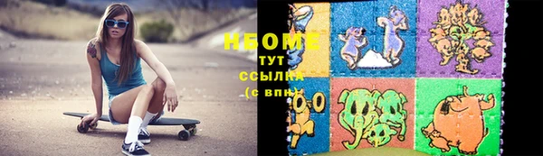 индика Балабаново