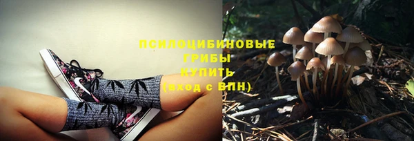 прущая мука Баксан
