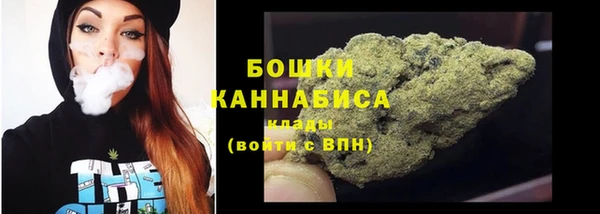 индика Балабаново