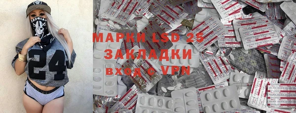 индика Балабаново