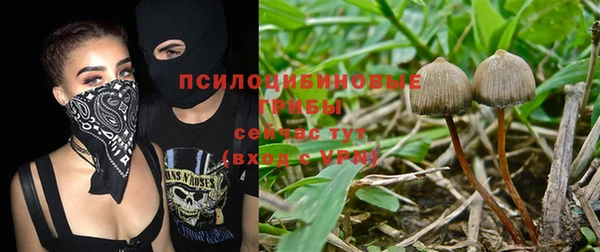 прущая мука Баксан