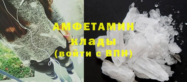 стаф Балахна
