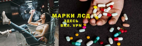 стаф Балахна