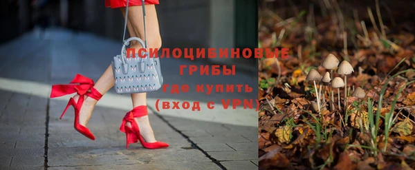 индика Балабаново