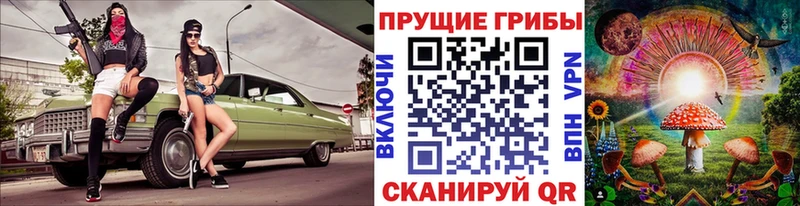 Псилоцибиновые грибы Cubensis  хочу наркоту  Бугульма 