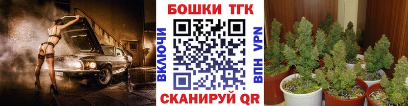 цена   Бугульма  Бошки Шишки планчик 